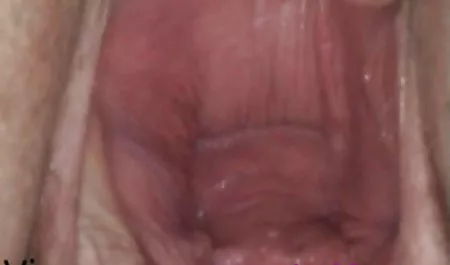 زن و شوهر سکسی لزبین سکس با فامیل زن در دوربین