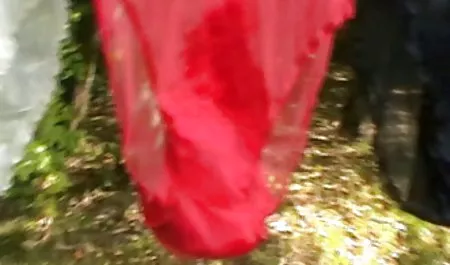 شلخته آلمانی باردار سکس ضربدری با باجناق یک dildo تایتانیک را لگد می زند